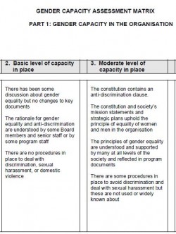 Gender Capacity Assessment Matrix