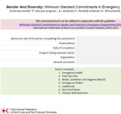 Minimum standard commitments to gender and diversity in emergency programming by sector