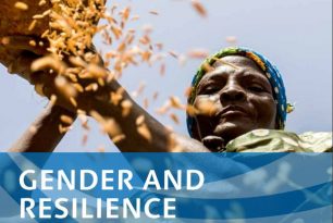 Gender and Resilience. Working Paper Gender and Resilience. Working Paper
