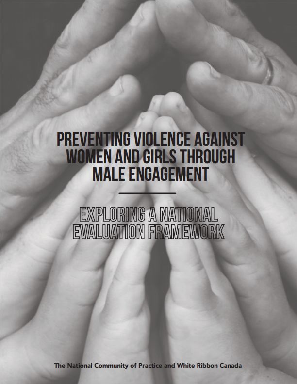 Preventing Violence against Women and Girls through Male Engagement: Exploring a National Evaluation Framework