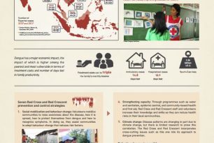 Dengue – a silent disaster poster – Epidemic Control for Volunteers (ECV)