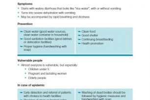 2. Cholera – ECV Disease Tools