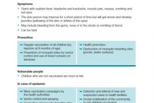 5. Yellow Fever – ECV Disease Tools