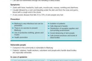 12. Marburg – ECV Disease Tools