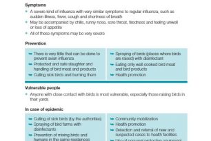 14. Avian Influenza – ECV Disease Tools