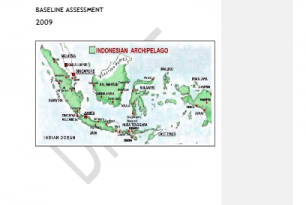 Palang Merah Indonesia (PMI): Draft Baseline DRR Assessment 2010