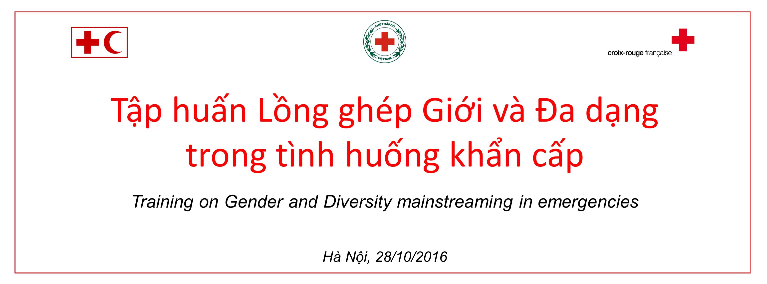 Gender and Diversity Mainstreaming in Emergencies 2016 backdrop