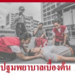 Basic First Aid Course in Thai