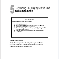 Basic Training Guide in Viet Nam IG-5 ICS and Triage-VN.doc