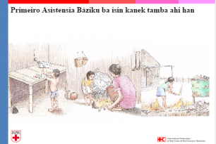 Primeiro Asistensia Baziku ba isin kanek tamba ahi han