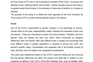 Gender Policy (CVTL)