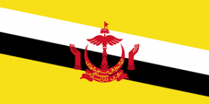 Brunei Flag AADMER DL Mapping