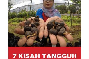 7 Kisah Tangguh 7 Kisah Tangguh
